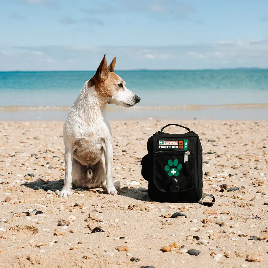 Buy Pet First Aid KIT SURVIVAL Australia
